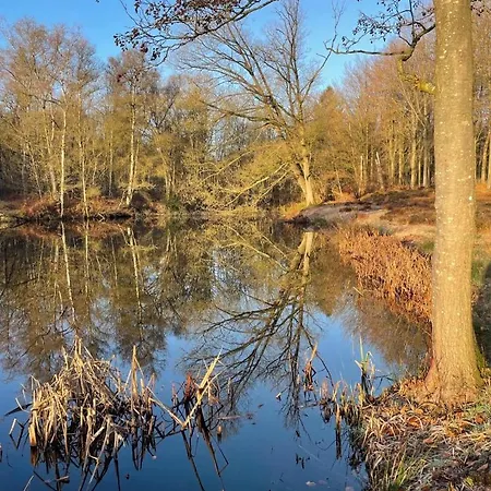 住宿加早餐酒店 La Petite Halte 3*