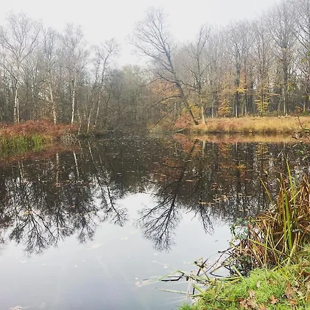 La Petite Halte 住宿加早餐酒店 3*