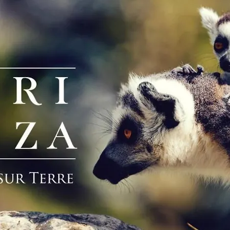 La Petite Halte Comines-Warneton