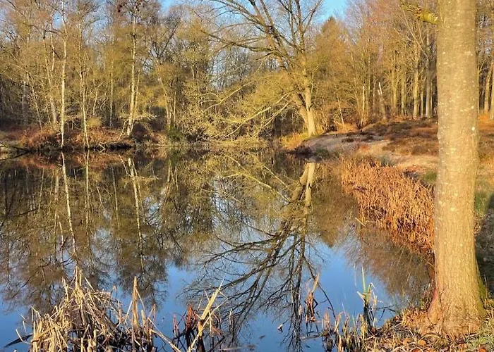 Bed & Breakfast La Petite Halte 3*